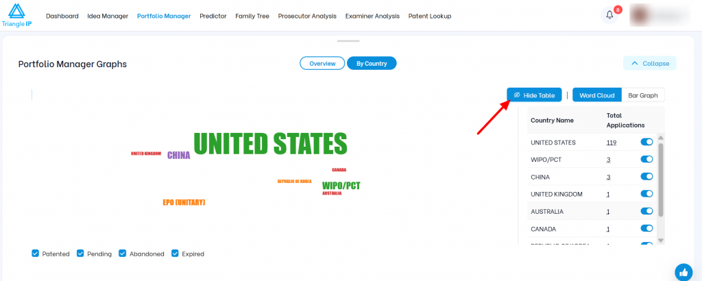 Triangle IP software Portfolio Manager screen highlighting the "Hide Table" button on the country-wise patent word cloud graph.