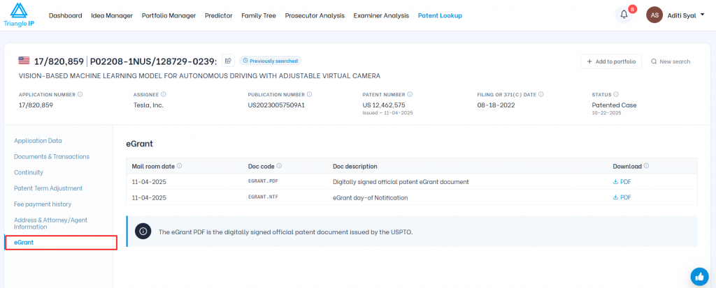 Triangle IP software Patent Lookup view highlighting the active eGrant tab with downloadable USPTO official patent documents.