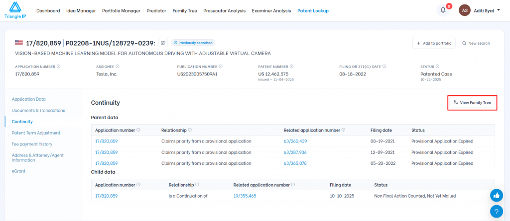 Triangle IP software Patent Lookup Continuity tab highlighting the "View Family Tree" button for visualizing patent family relationships.