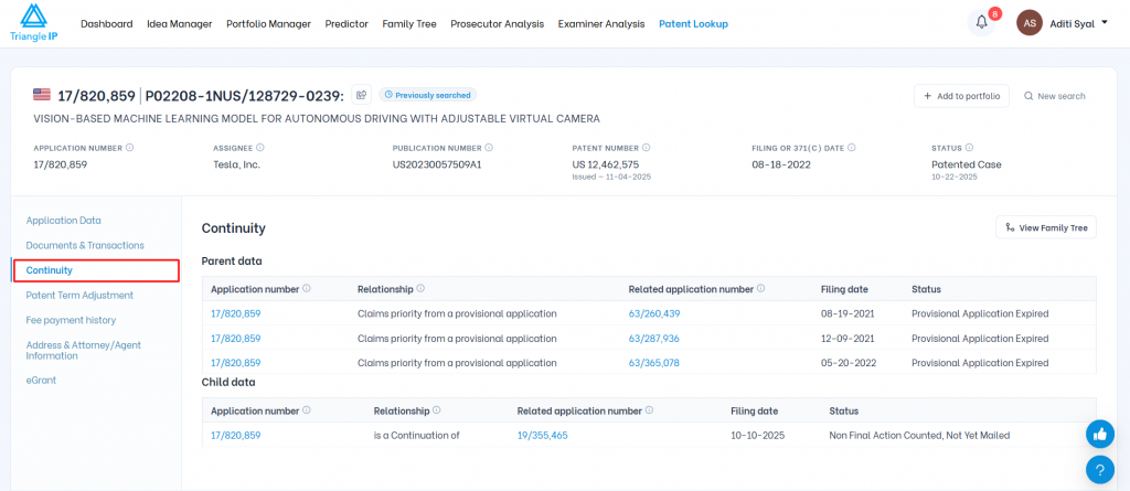 Triangle IP software Patent Lookup view highlighting the active Continuity tab showing parent and child patent application relationships.